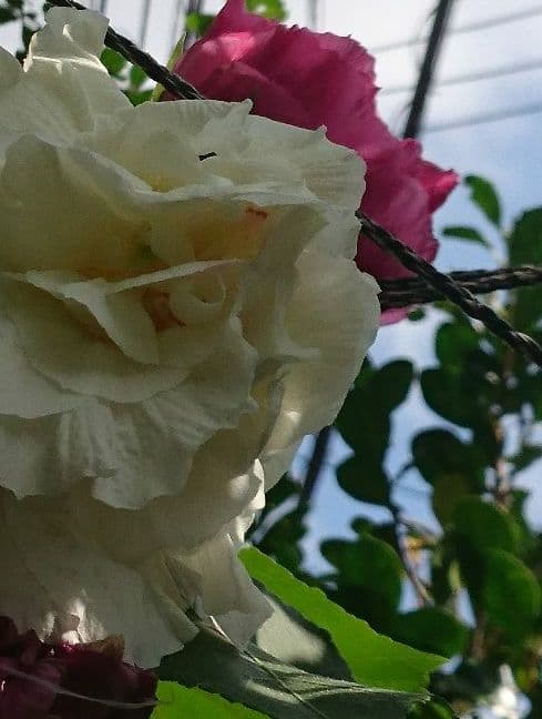 (明～清朝初期) 色絵小壺 純銀火舎