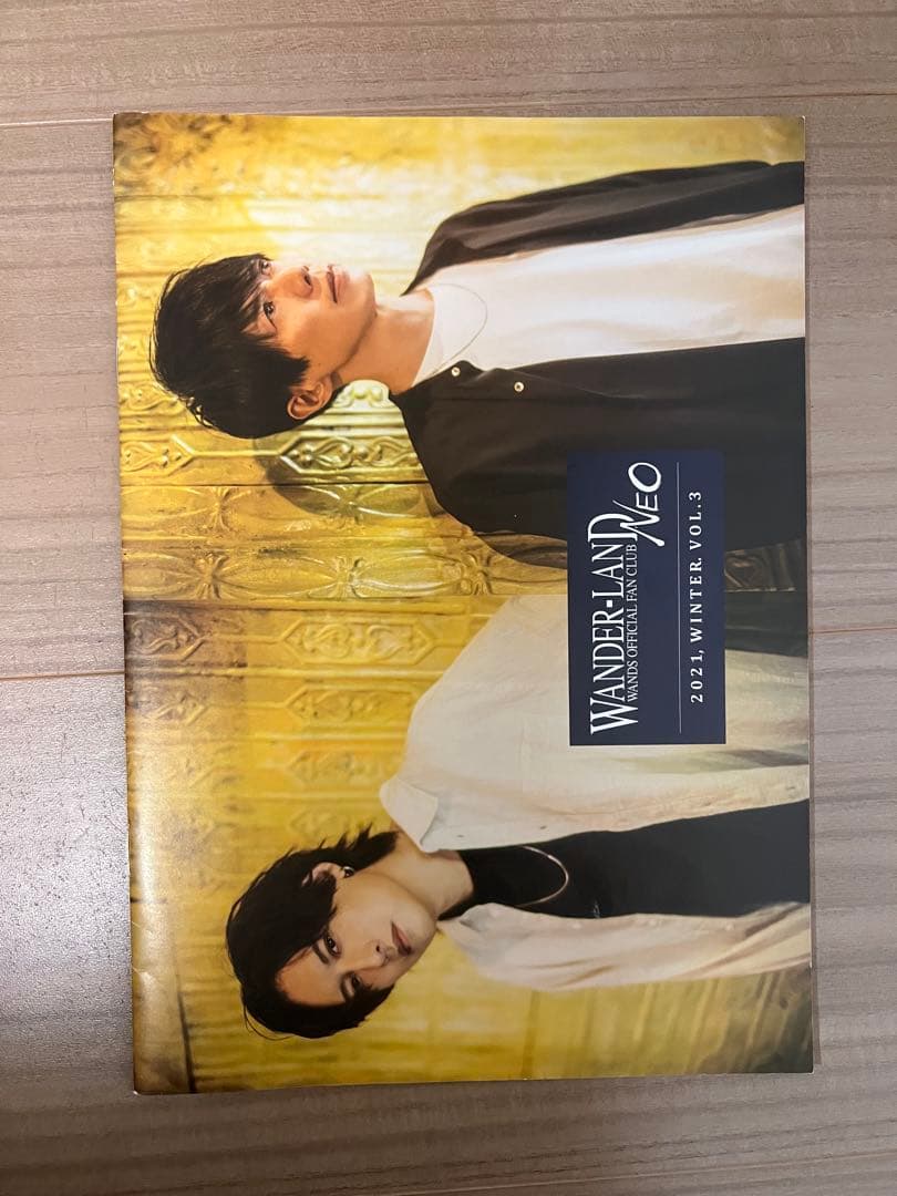 WANDS ワンズ　会報誌 WANDAR LAND NEO2〜7 6冊セット