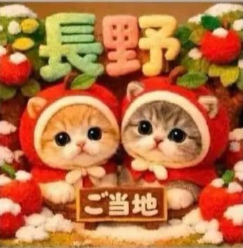 ご確認用　マーブル☆　ハンカチ　ねこちゃん柄2/6