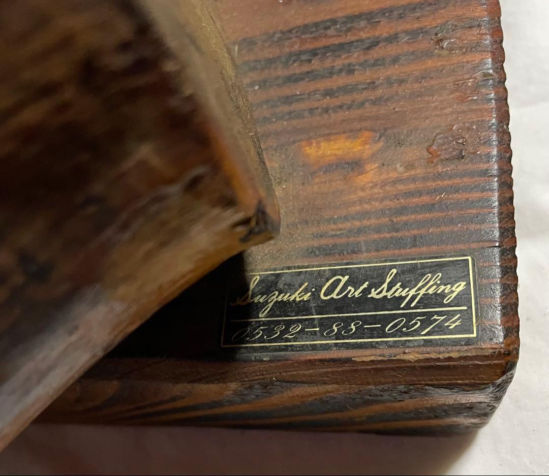 秀ちゃん　タヌキ剥製 木製台座付き