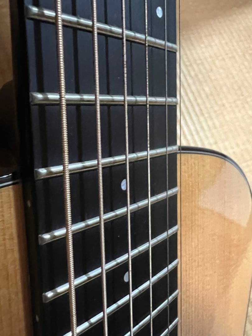 SX SS760E アコースティックギター　エレアコ