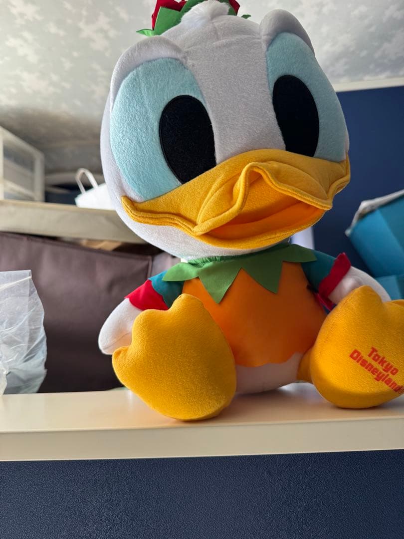 東京ディズニーランド限定 ぬいぐるみセットドナルド&デイジー