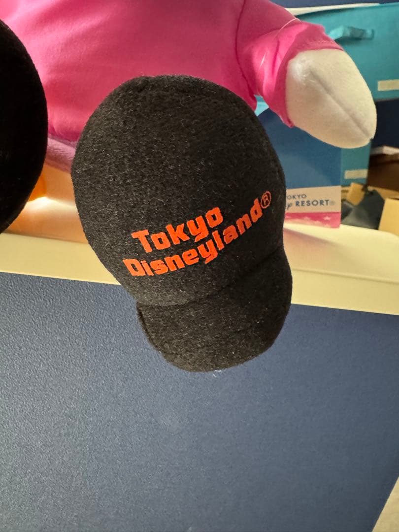 東京ディズニーランド限定 ぬいぐるみセットドナルド&デイジー