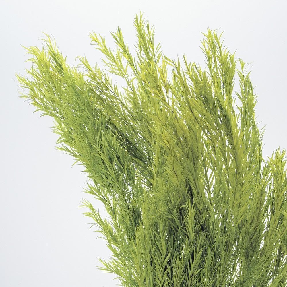 きらめく木洩れ日のレモンイエロースワッグ （ブーケ）・ Lふっくらタイプ