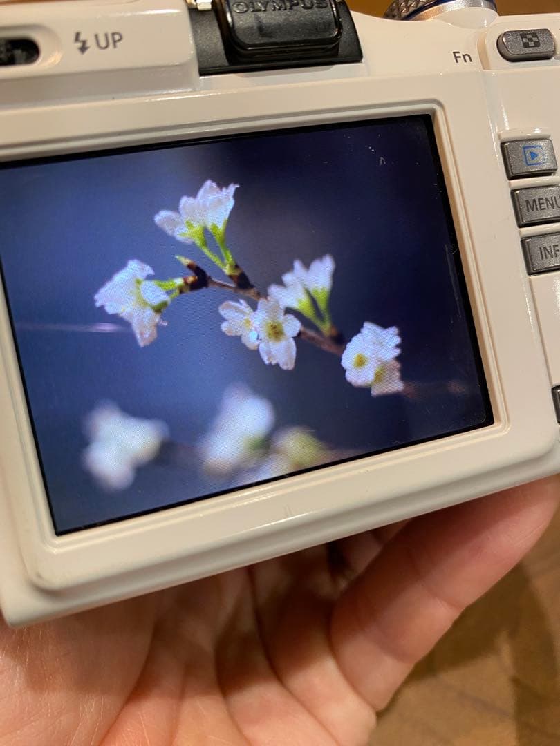 OLYMPUS e-pl1 ミラーレス OM-ZUIKO 50mm f/1.8