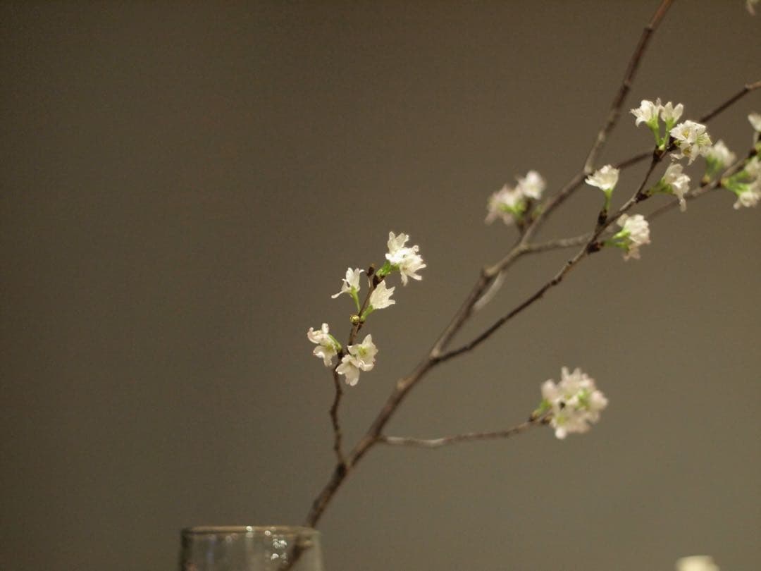 OLYMPUS e-pl1 ミラーレス OM-ZUIKO 50mm f/1.8