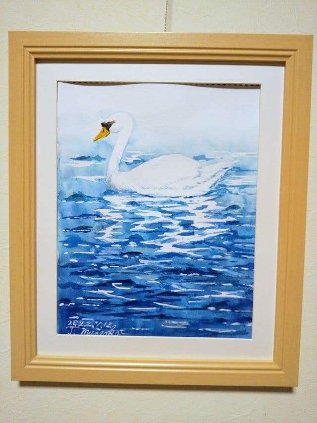 ふわふわ白鳥さん