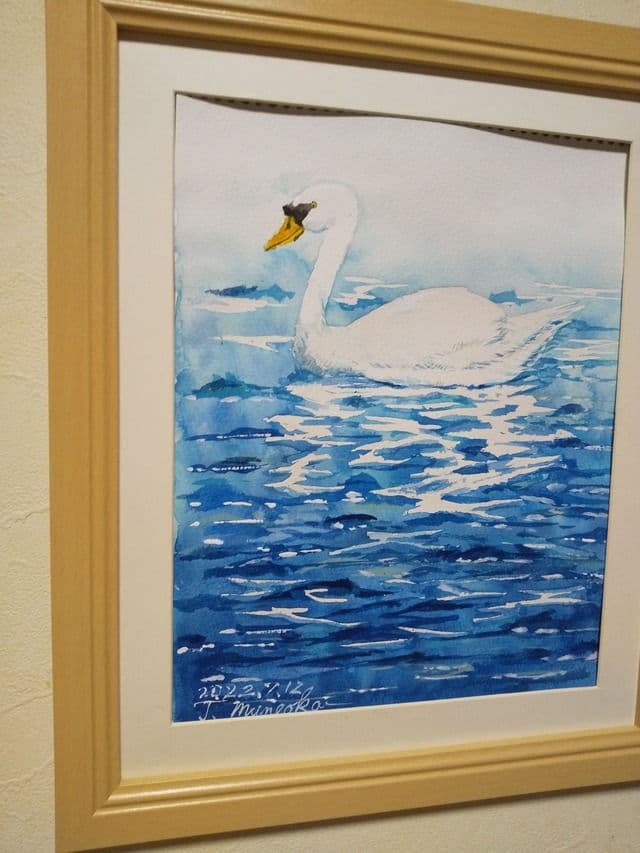 ふわふわ白鳥さん