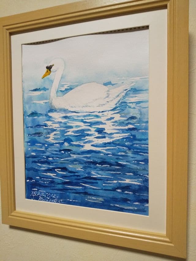 ふわふわ白鳥さん