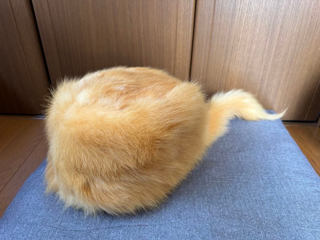 青森県産天然キテンの帽子