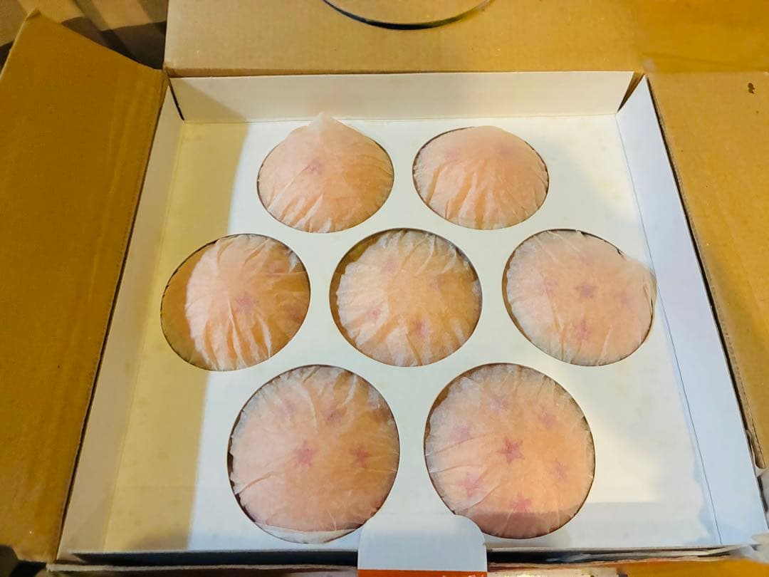 ドラゴンボールカプセル 激闘宇宙一の強戦士 サイヤ人編　彩色版コンプ　ドラカプ