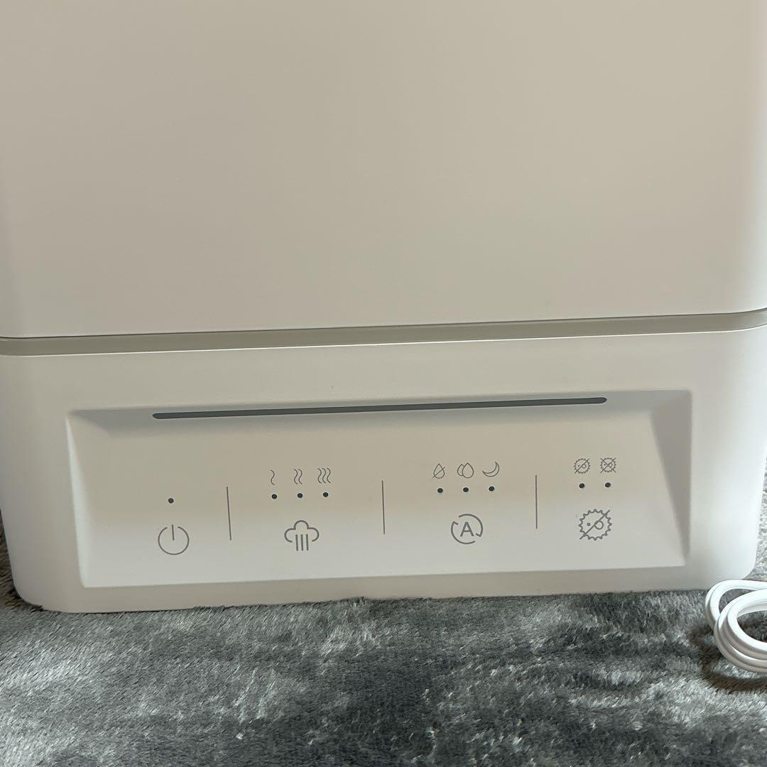 Luwior 電解水除菌 超音波加湿器 大容量 4L 二つ除菌モード