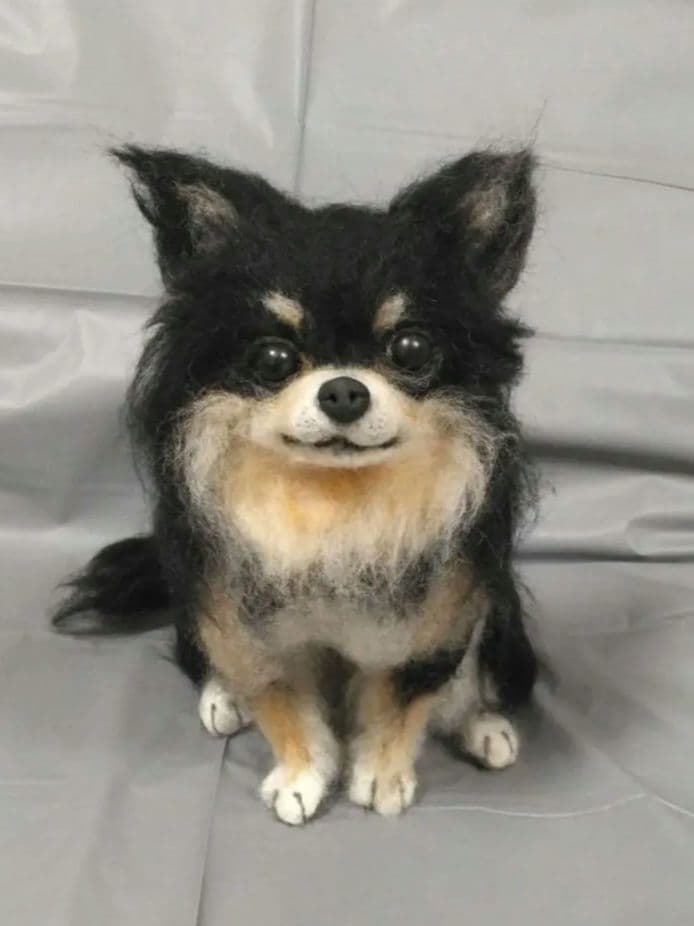 羊毛フェルト　犬　チワワ　ブラックタン