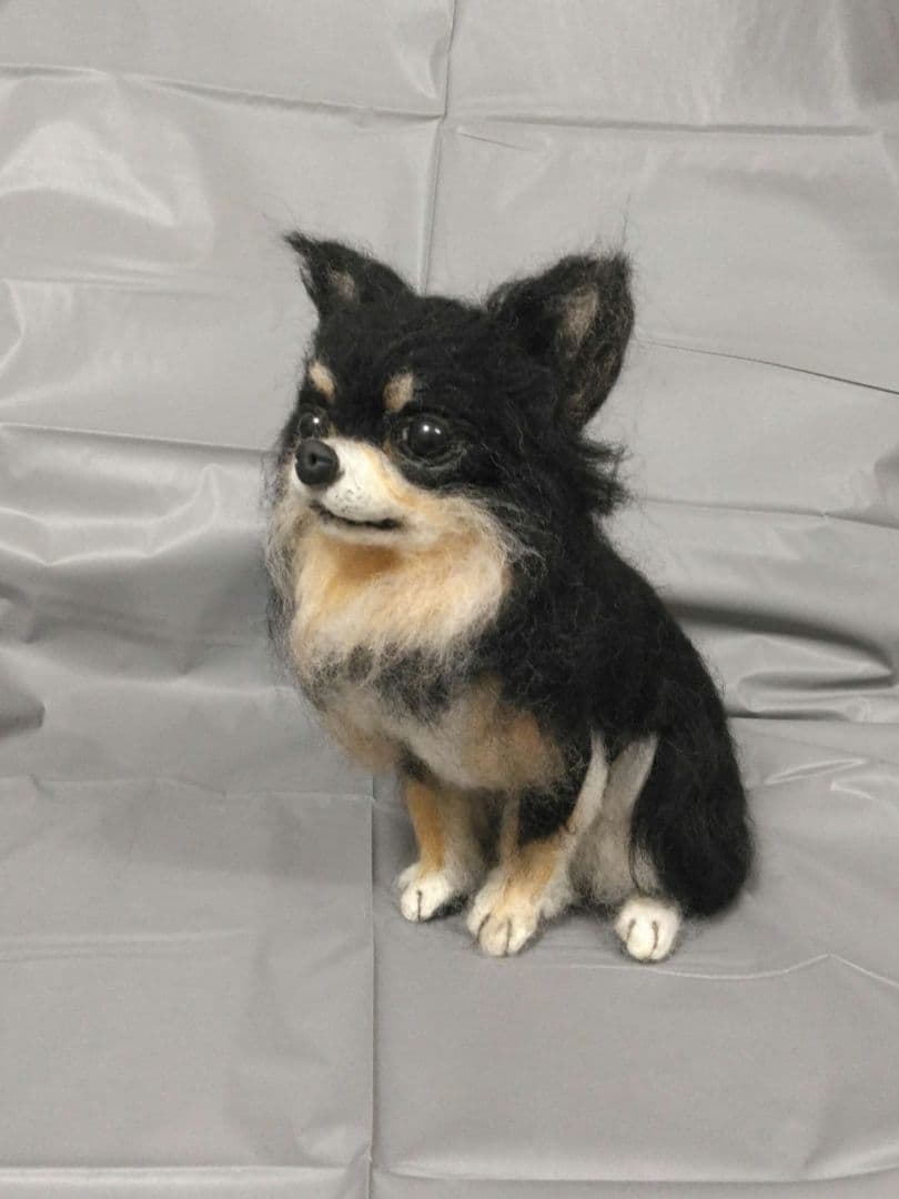 羊毛フェルト　犬　チワワ　ブラックタン