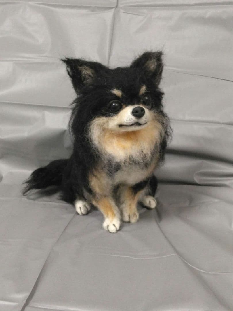羊毛フェルト　犬　チワワ　ブラックタン