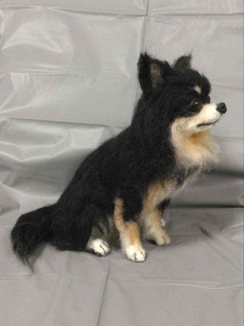 羊毛フェルト　犬　チワワ　ブラックタン