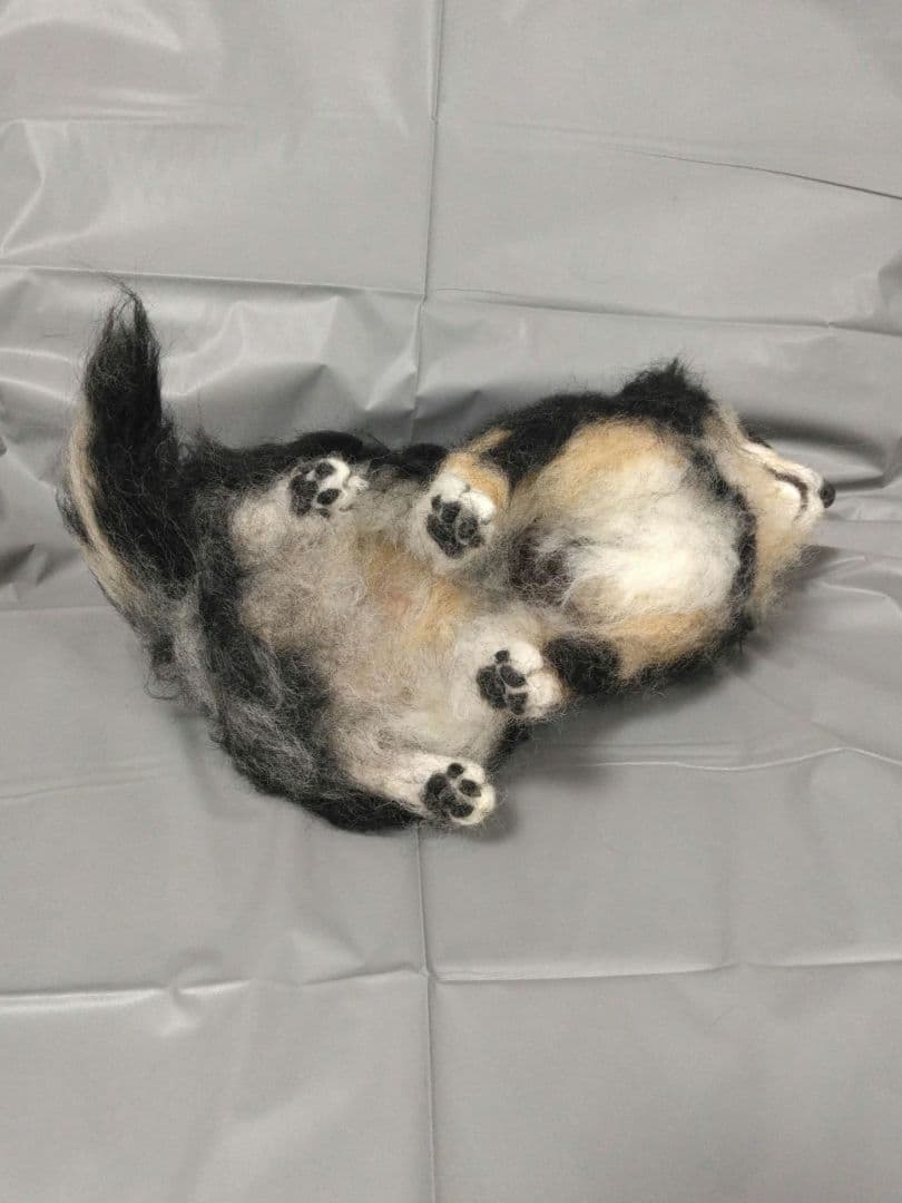 羊毛フェルト　犬　チワワ　ブラックタン