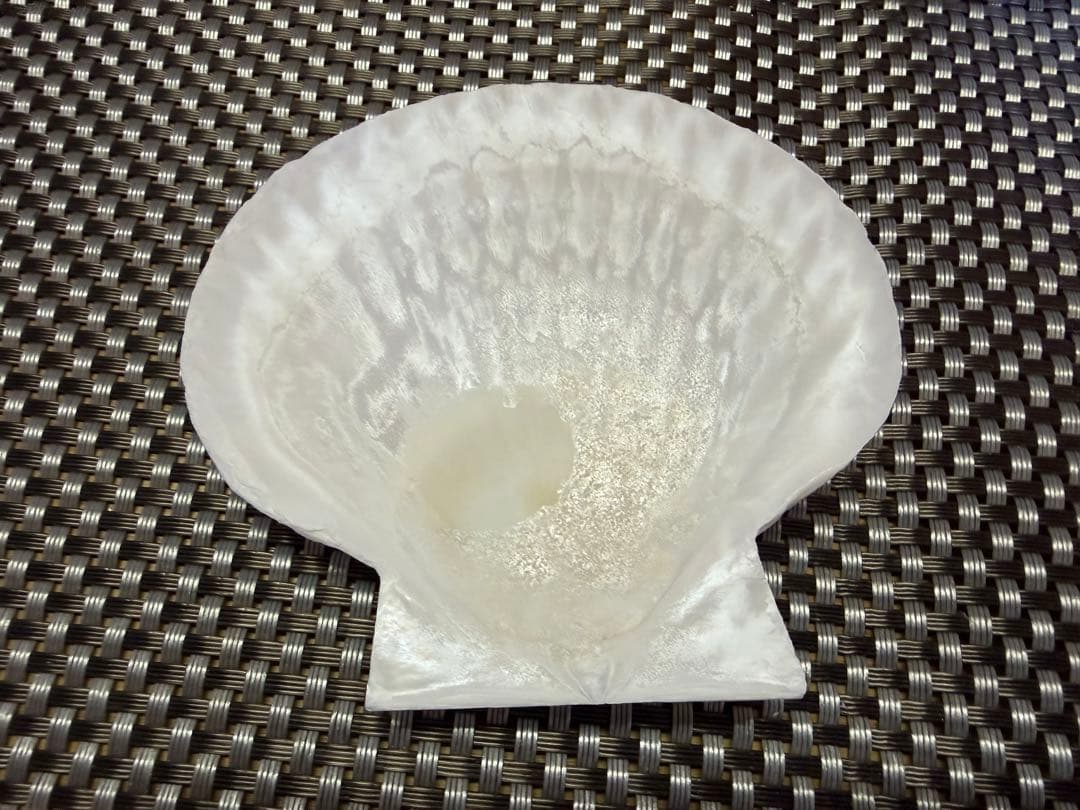 ホタテ貝殻 約100枚 10cm前後 DIY ハンドメイド 素材