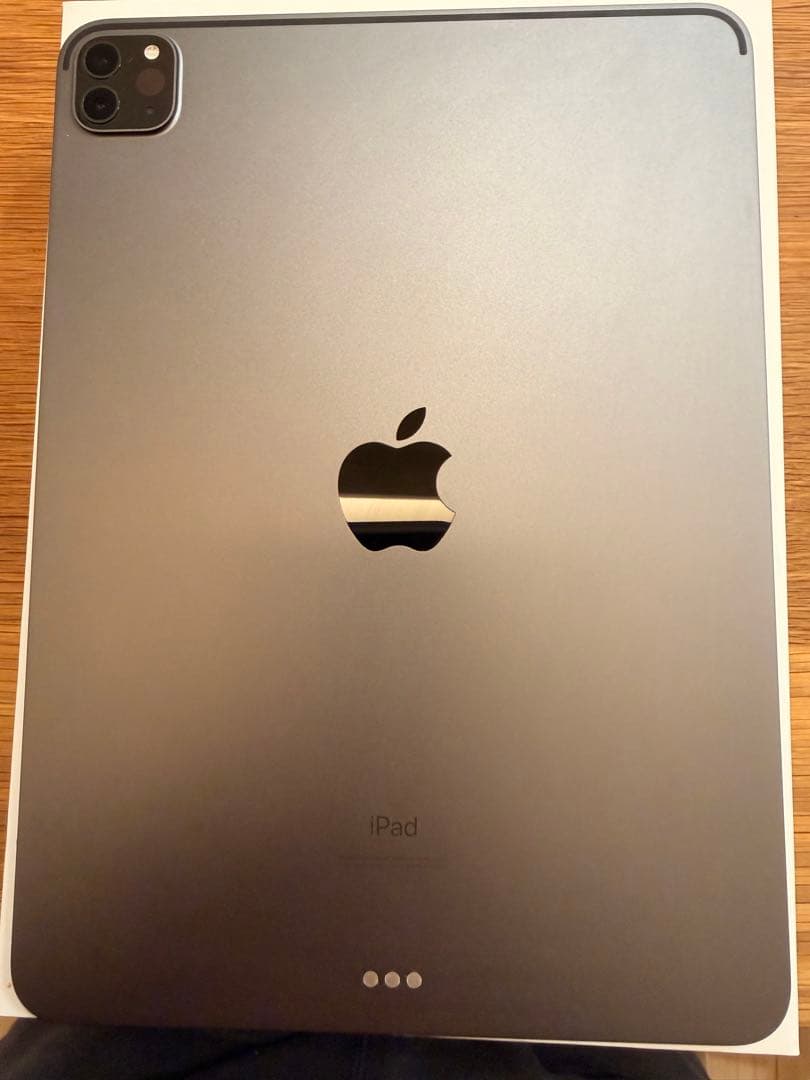 iPad Pro 11インチ (第2世代) 256 + Apple Pencil