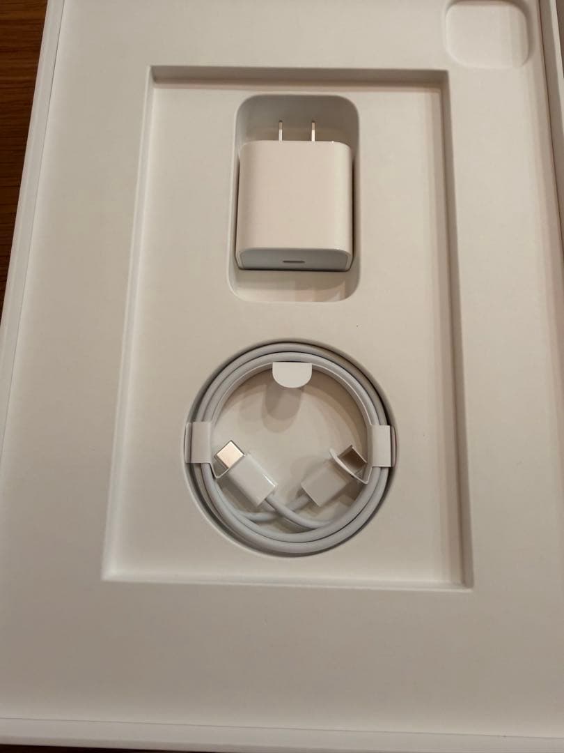 iPad Pro 11インチ (第2世代) 256 + Apple Pencil