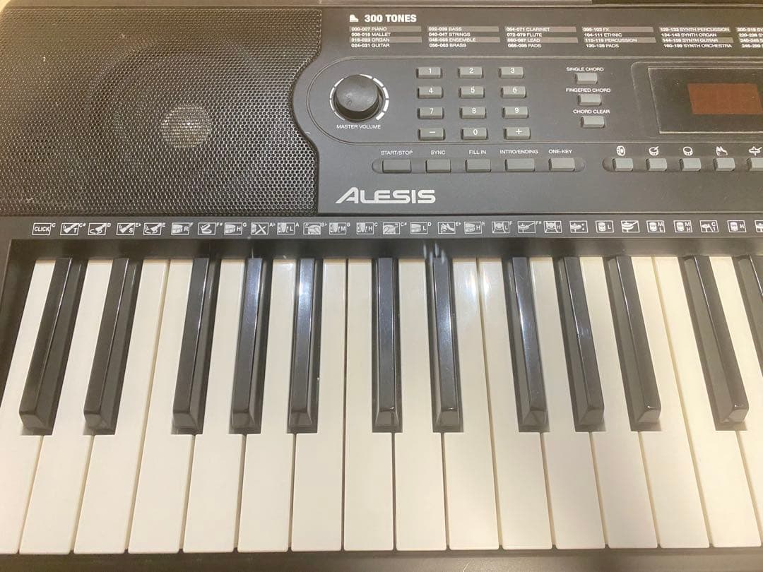 ALESIS(アレシス) MELODY54 電子キーボード 電子ピアノ 54鍵盤