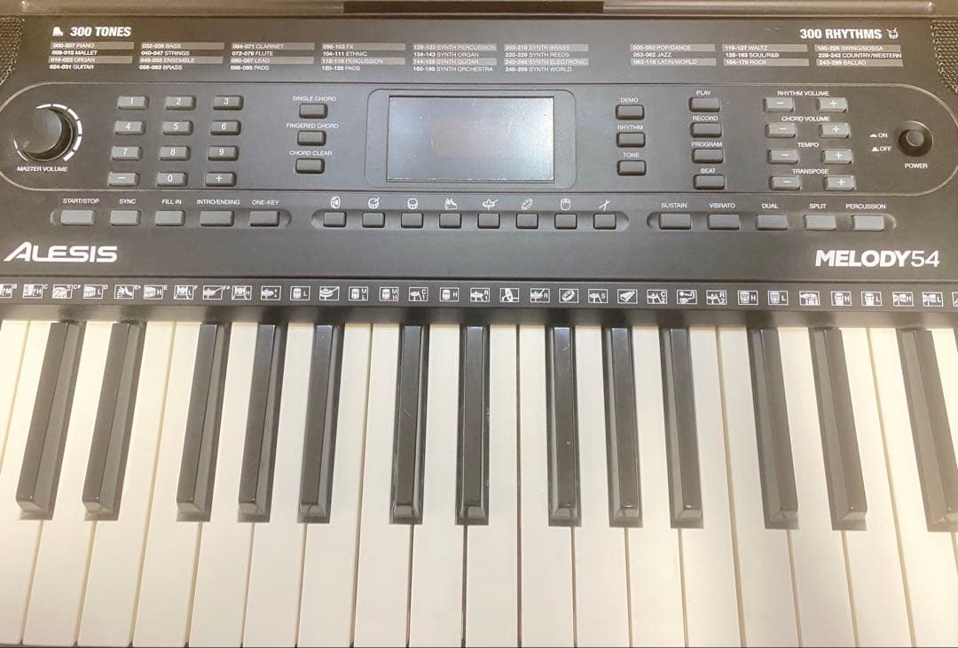 ALESIS(アレシス) MELODY54 電子キーボード 電子ピアノ 54鍵盤