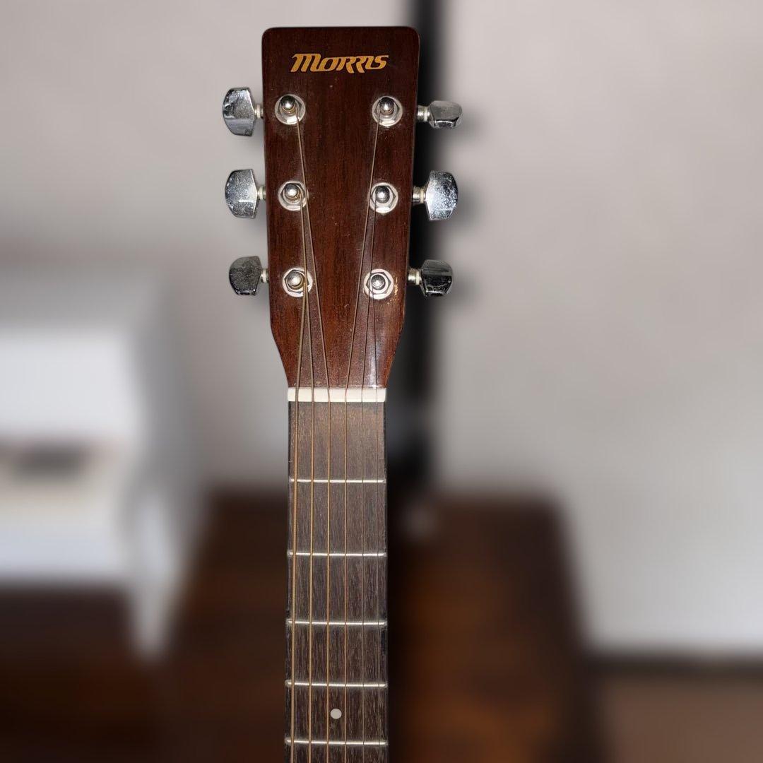 Morris モーリス ビンテージ アコースティックギター MF-256TS