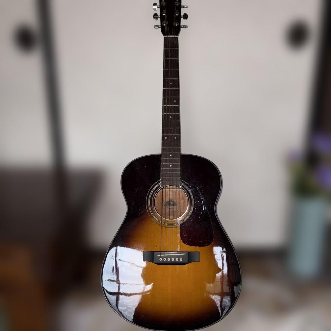 Morris モーリス ビンテージ アコースティックギター MF-256TS