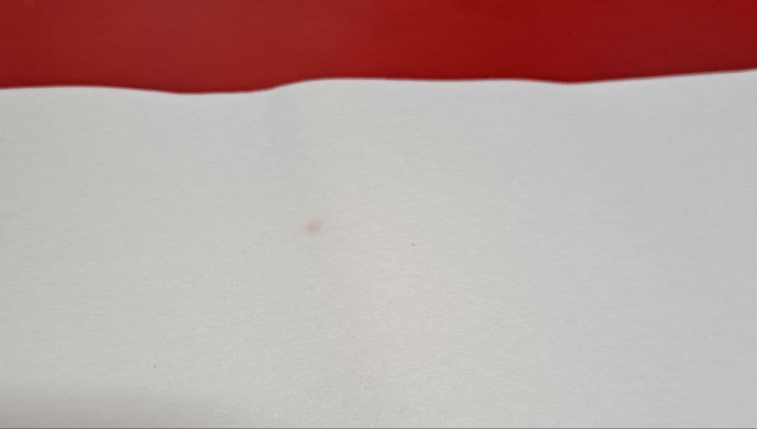 【本草画仙 全紙 80枚】かな書道、漢字書道、楮原料、書道用品、書作品、半紙