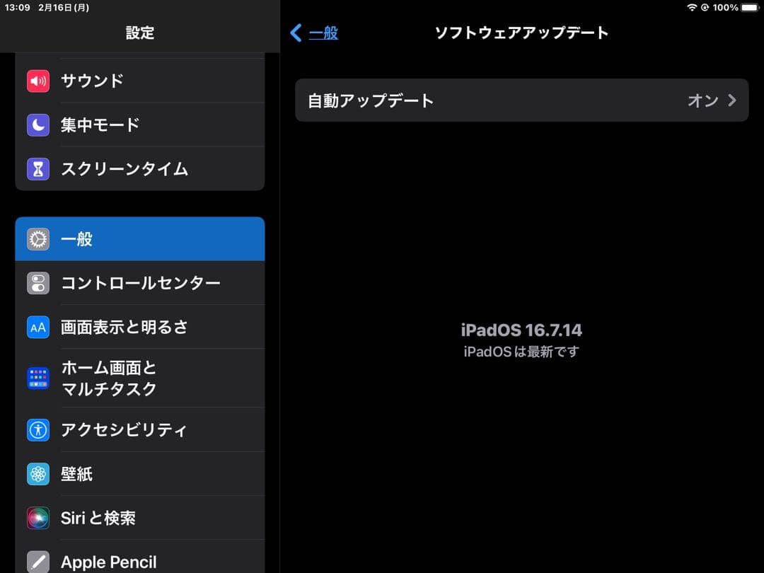 【美品完動品】iPad Pro 9.7 128GB 純正付属品付【キーボード付】