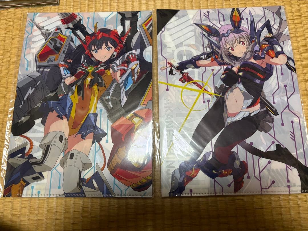 宝多六花　新条アカネ　レースクイーン　クリアファイル　グリッドマン　ドンキホーテ