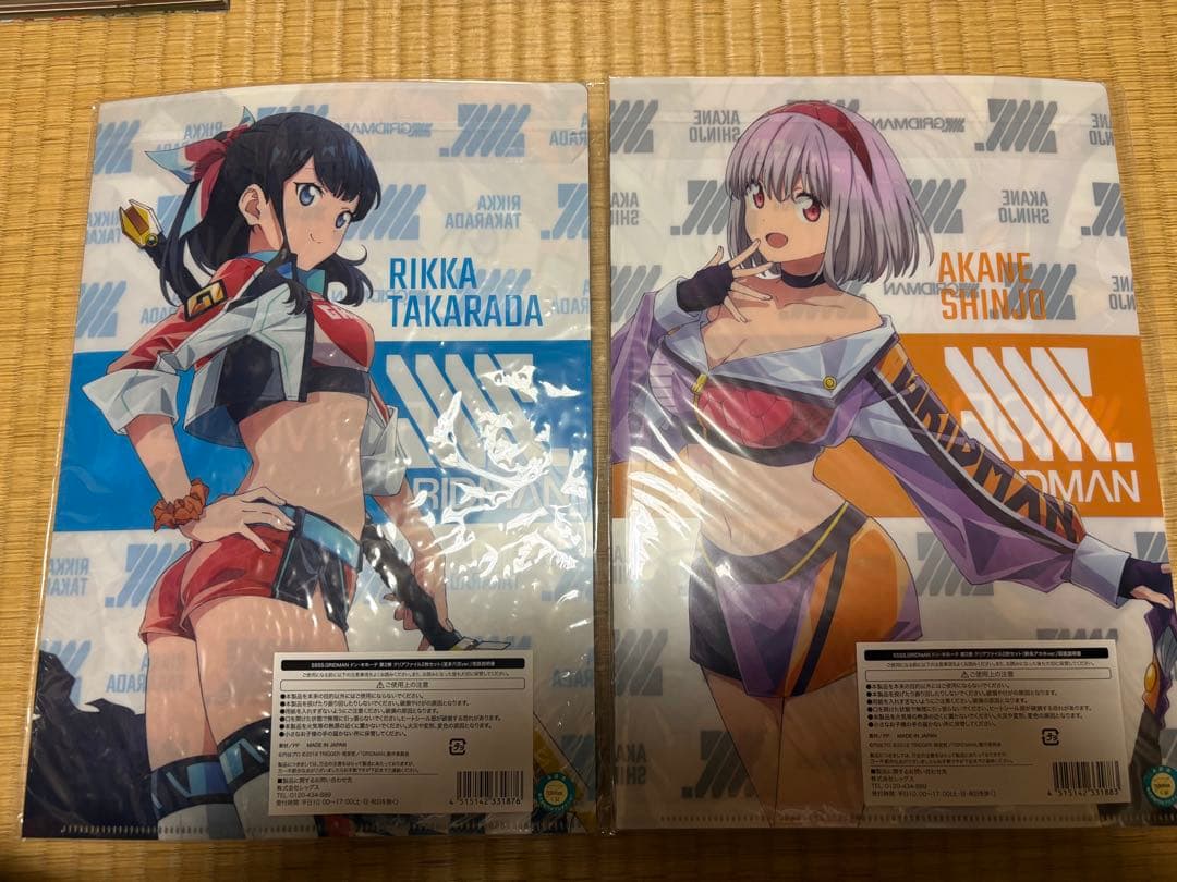 宝多六花　新条アカネ　レースクイーン　クリアファイル　グリッドマン　ドンキホーテ