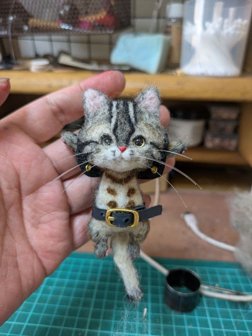 トクラ出品 豆猫PECO-LIN