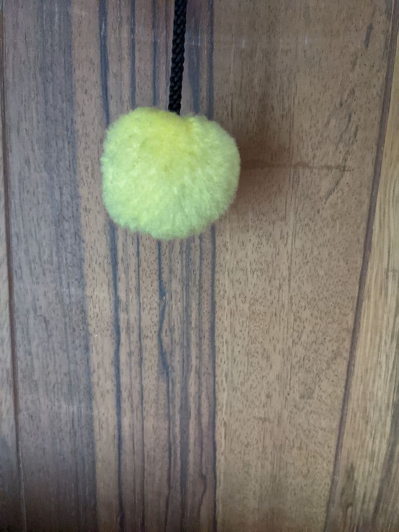 素敵な手紙封筒入れ♡昭和レトロな顔の猫？寅？　レア