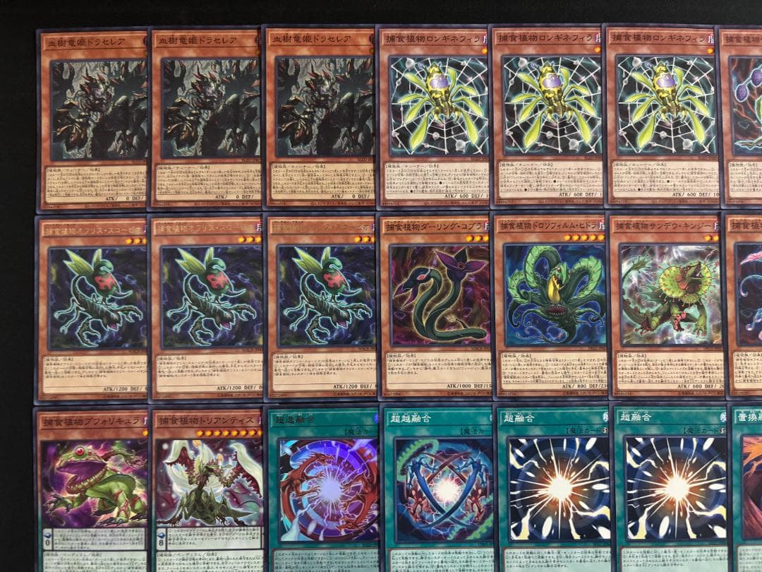 遊戯王　捕食植物　デッキ　デッキパーツ　メイン40枚+EX15枚+他12枚