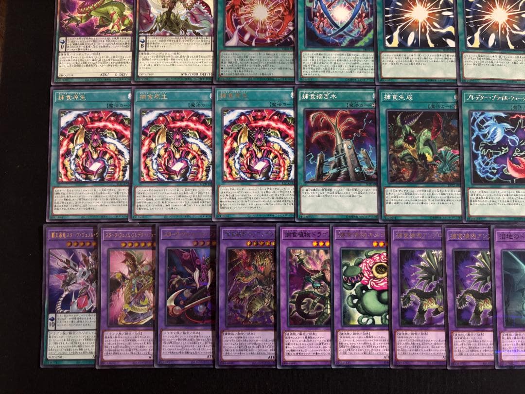 遊戯王　捕食植物　デッキ　デッキパーツ　メイン40枚+EX15枚+他12枚