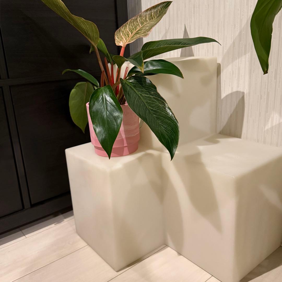 元値45,000円ヴィンテージライト