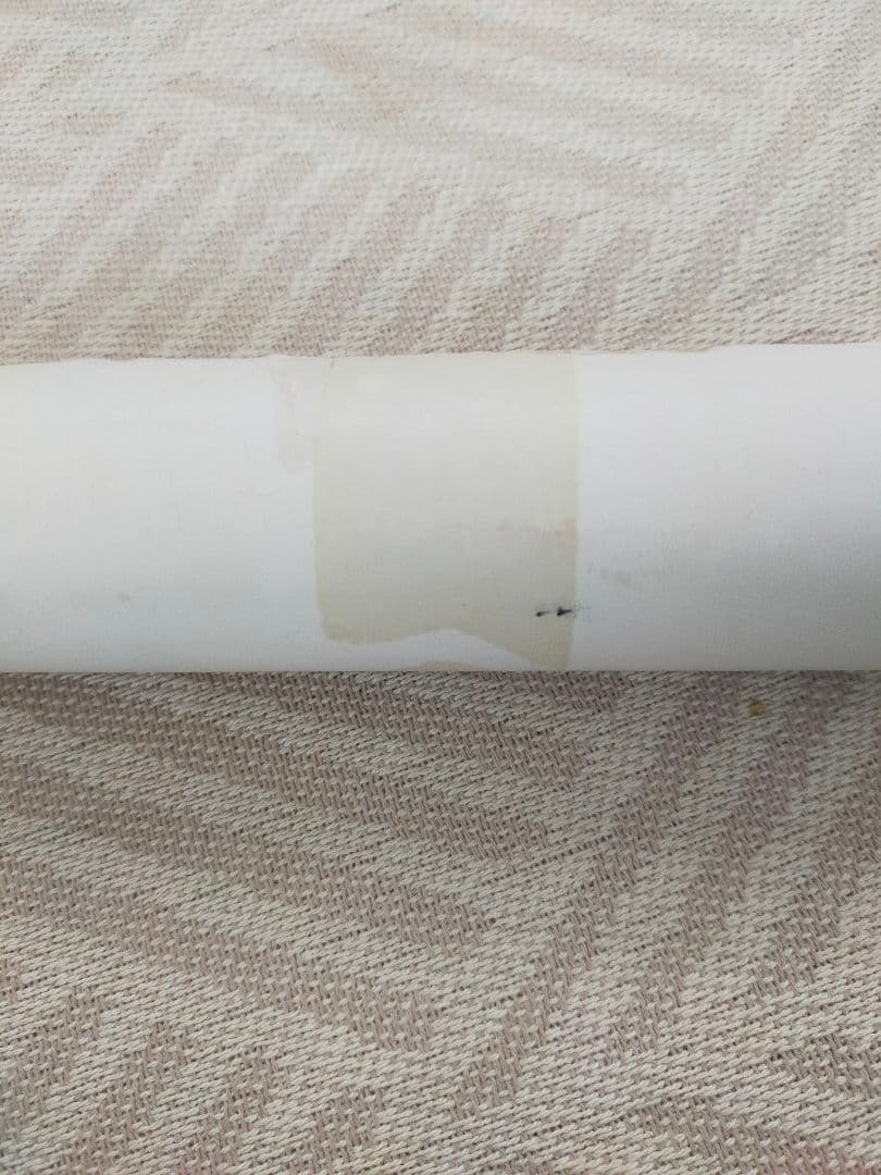 THE RC SUCCESSION 　タイマーズ　忌野清志郎　ポスターセット