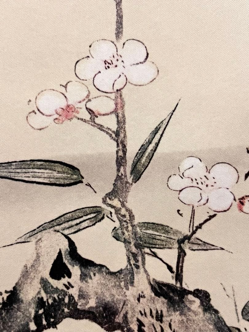 狩野探幽 守信「梅に鶯」掛軸 掛け軸 複製工芸 ウグイス 春 日本画 茶掛 印刷