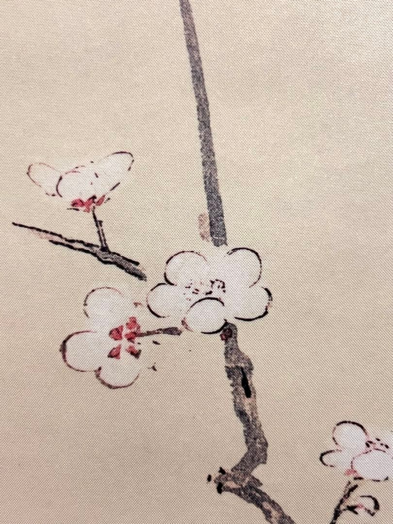 狩野探幽 守信「梅に鶯」掛軸 掛け軸 複製工芸 ウグイス 春 日本画 茶掛 印刷