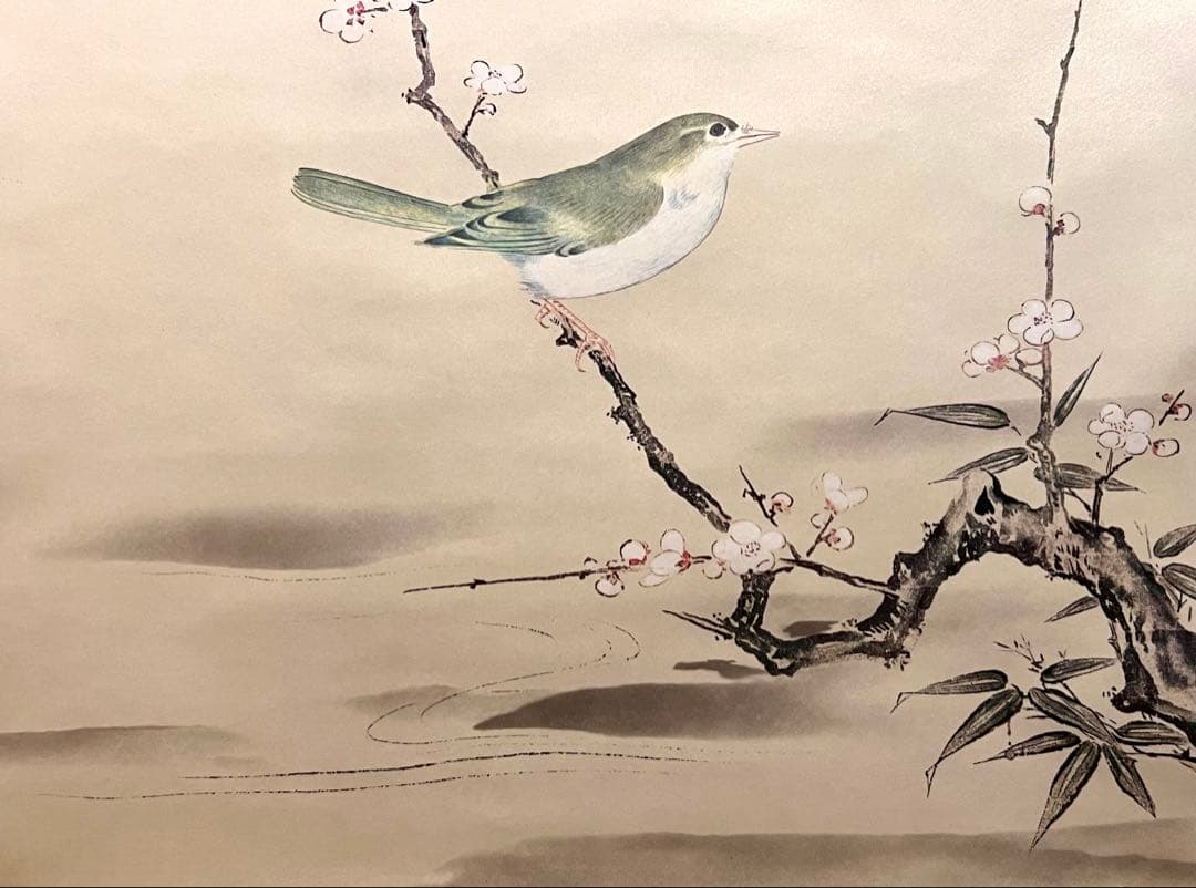 狩野探幽 守信「梅に鶯」掛軸 掛け軸 複製工芸 ウグイス 春 日本画 茶掛 印刷