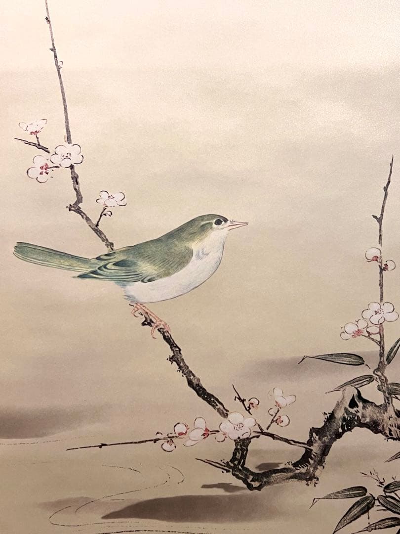 狩野探幽 守信「梅に鶯」掛軸 掛け軸 複製工芸 ウグイス 春 日本画 茶掛 印刷