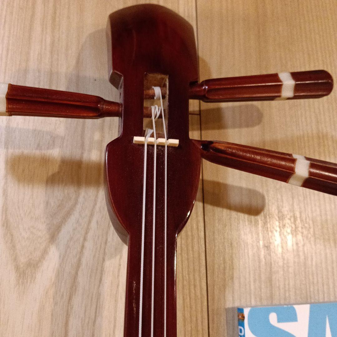 三線 本体 蛇皮模様 入門DVD付き