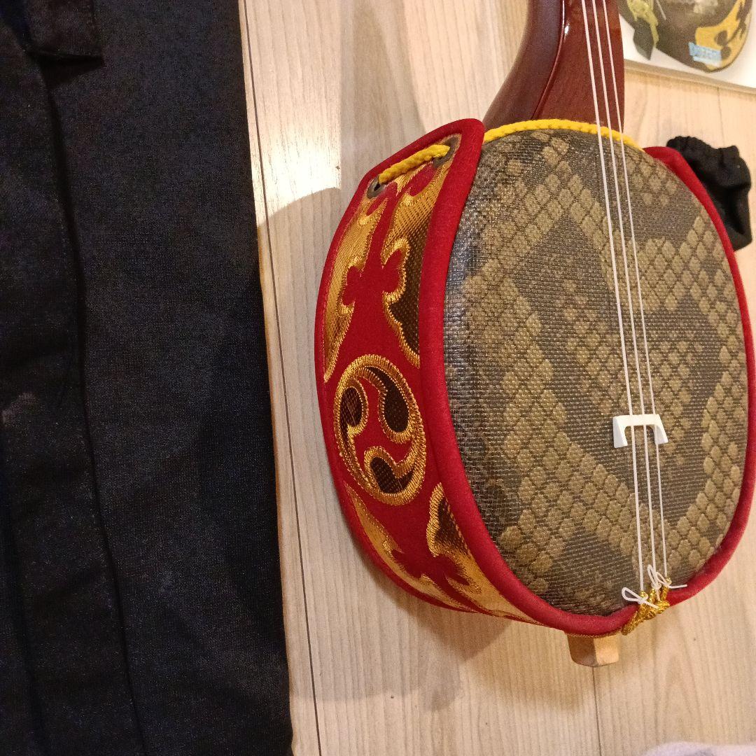 三線 本体 蛇皮模様 入門DVD付き