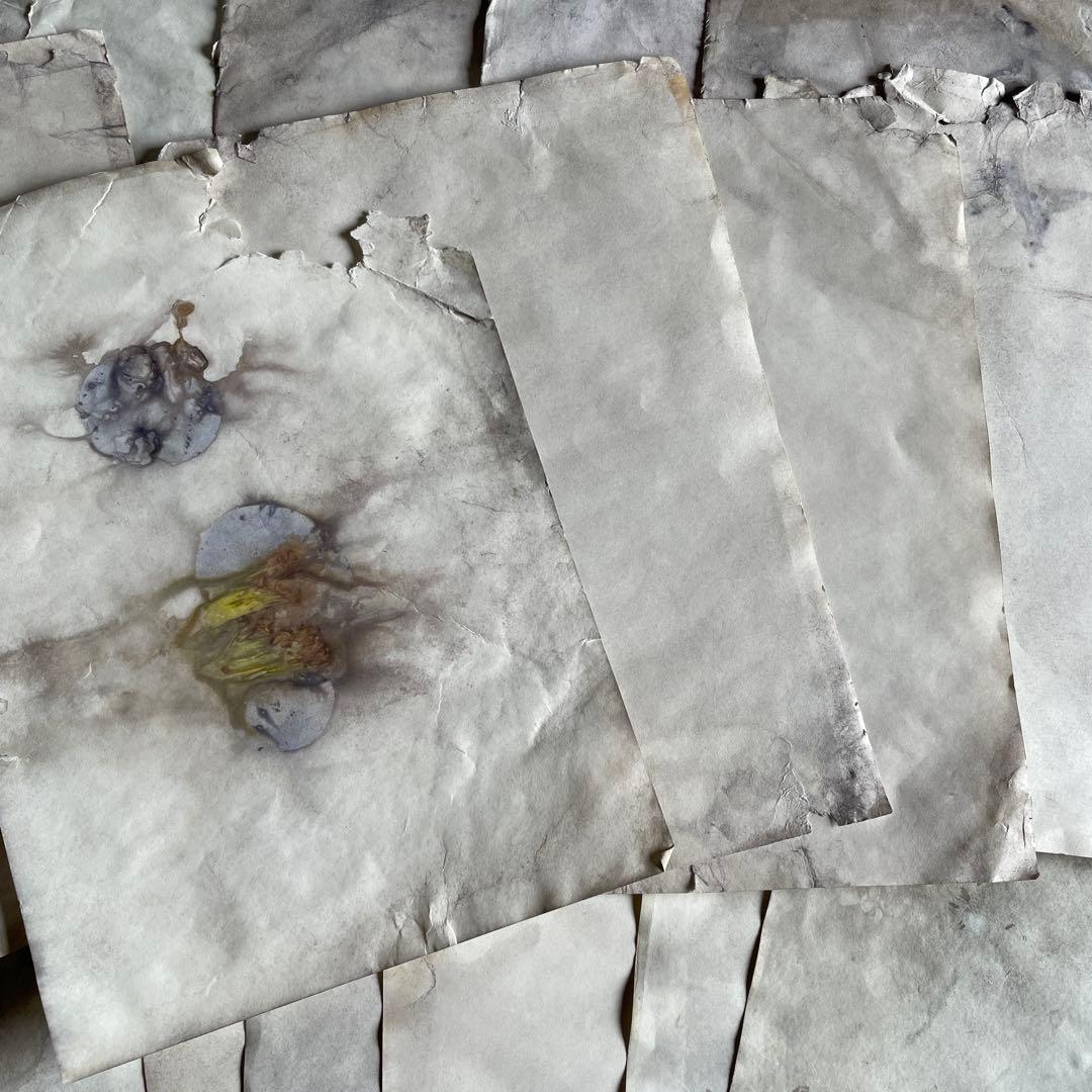 「庭に落とした本」　雑記帳　ジャンクジャーナル　アートブック