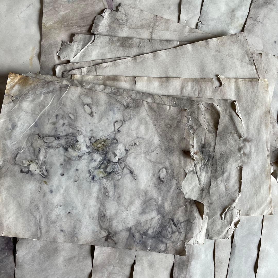 「庭に落とした本」　雑記帳　ジャンクジャーナル　アートブック