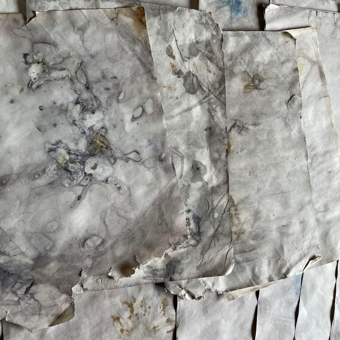 「庭に落とした本」　雑記帳　ジャンクジャーナル　アートブック