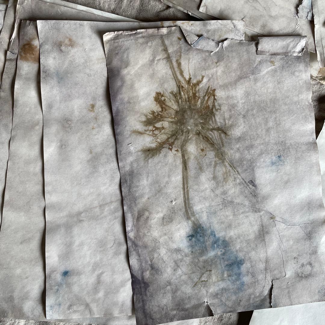 「庭に落とした本」　雑記帳　ジャンクジャーナル　アートブック