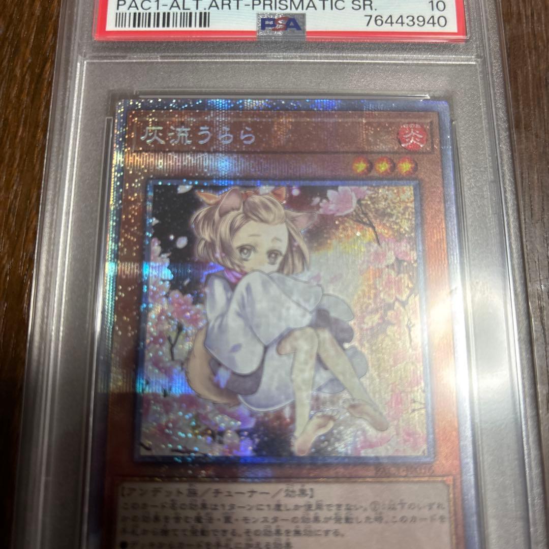 流うらら 2021年 プラズマティックアート