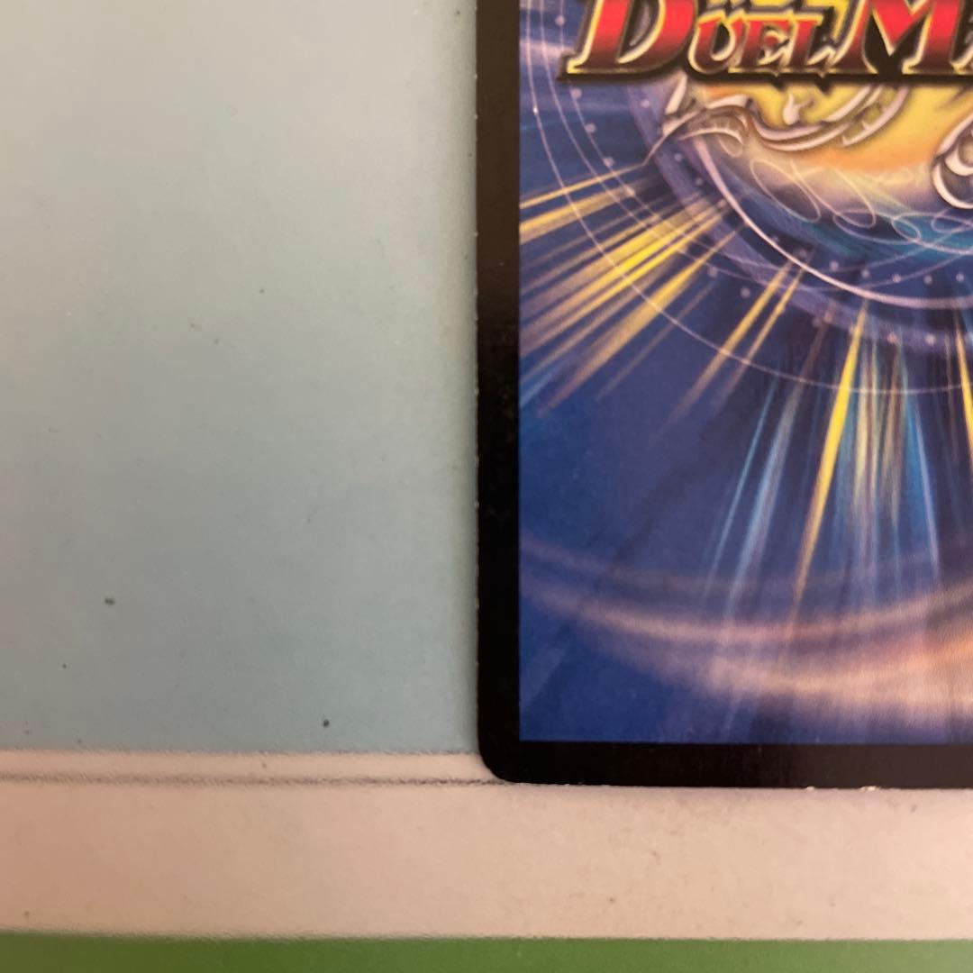 ボルバルザーク・紫電・ドラゴン シークレット